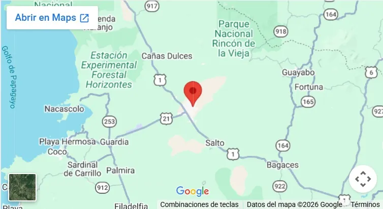 mapa de la tienda Perfumería Bonsái